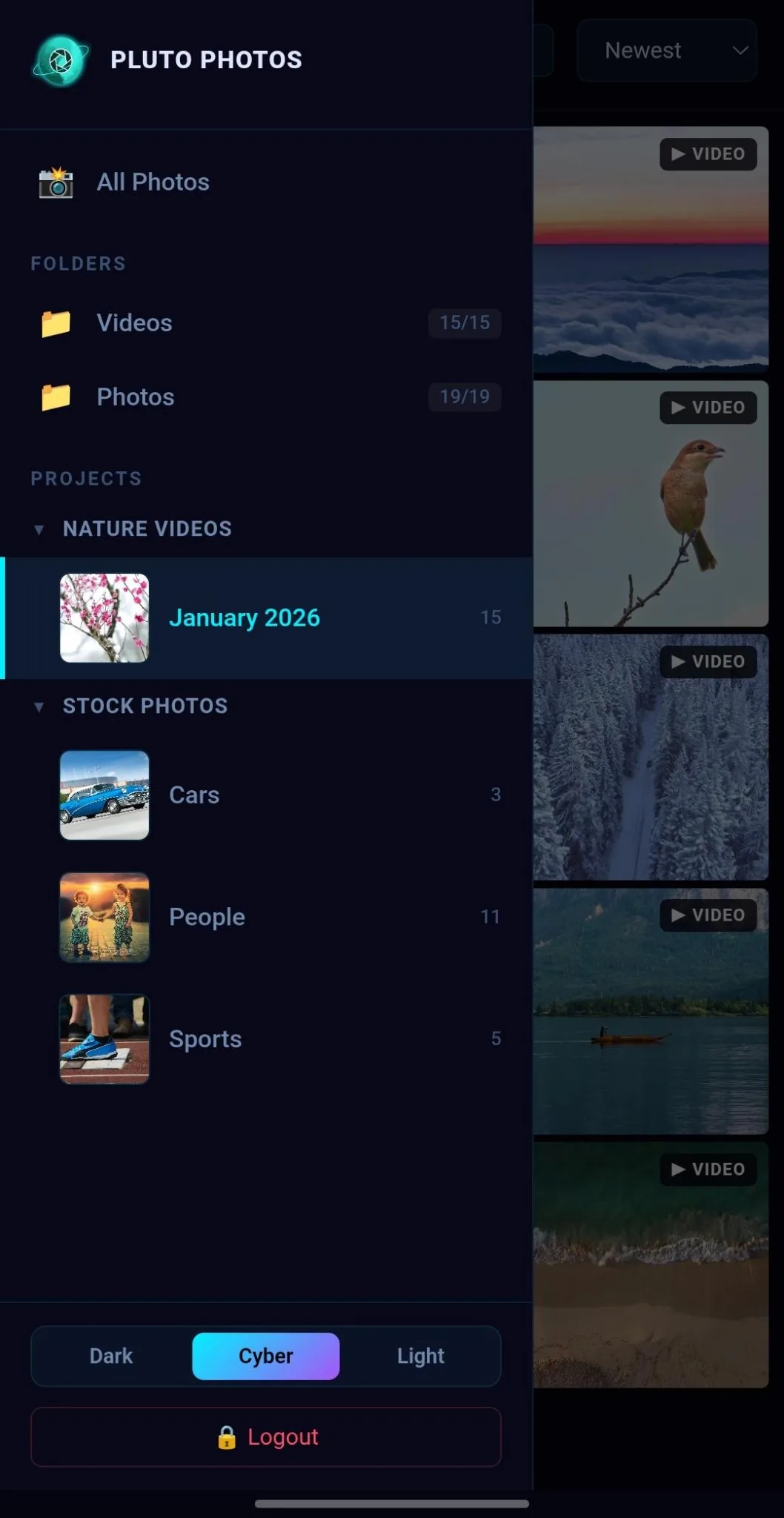 Companion Browser in Pluto Photos