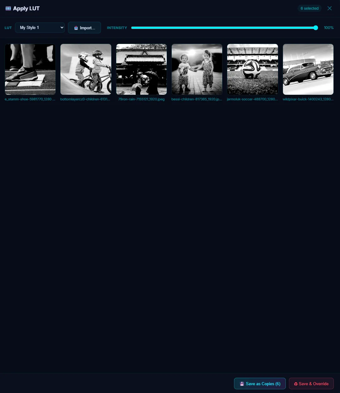 The same batch LUT dialog with intensity at 100%