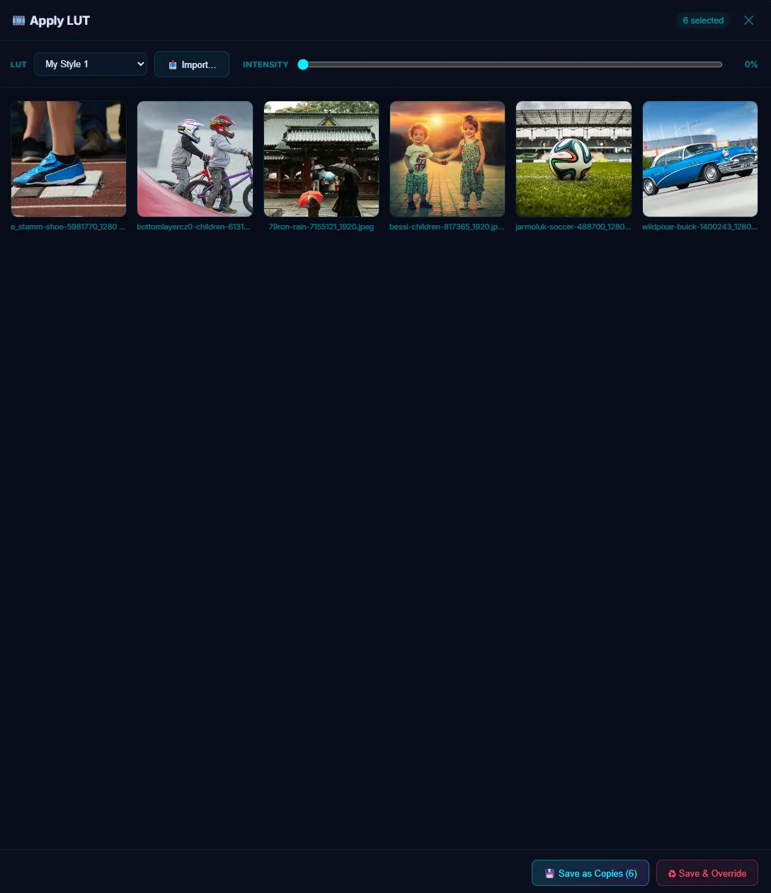 The batch LUT dialog with intensity at 0%