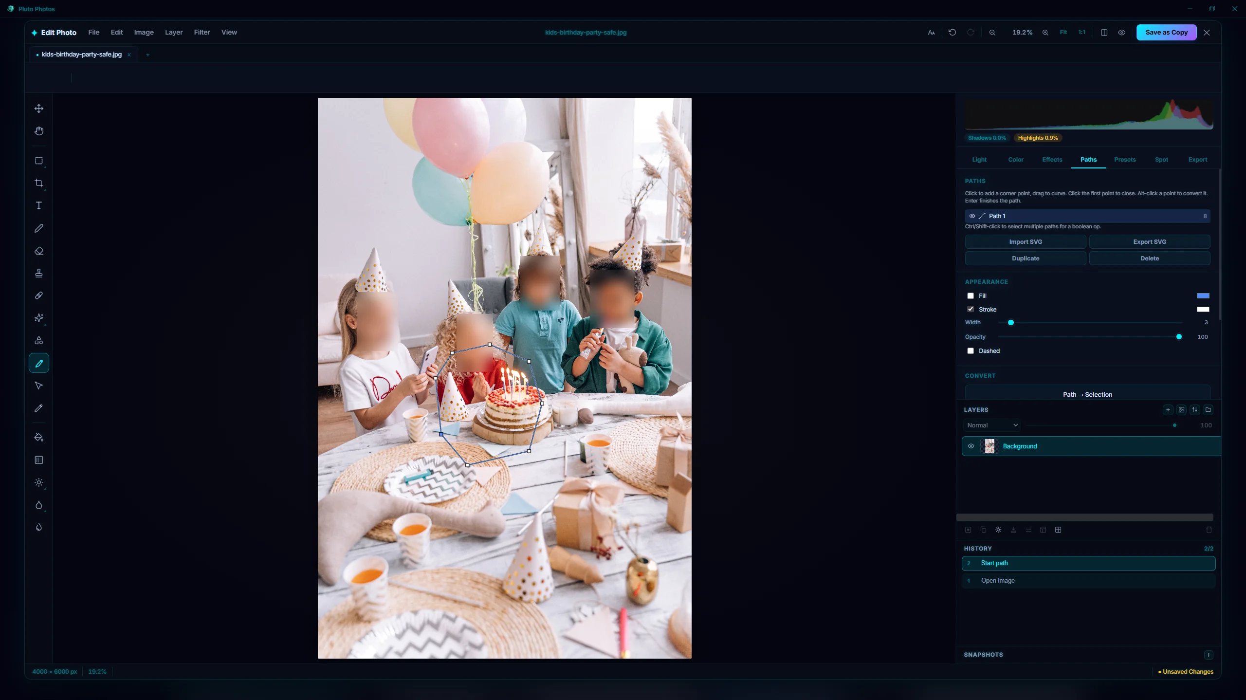 The Pluto Photos image editor with the Pen Tool active and a closed 8-node vector path drawn around a birthday cake, and the Paths panel on the right showing the path's stroke and fill controls